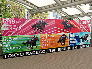 東京競馬場5週連続春G1開催