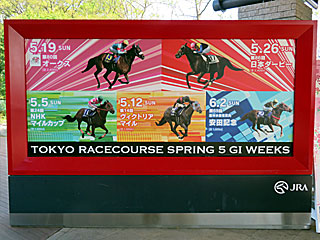 東京競馬場5週連続春G1開催