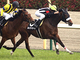 カレンブーケドール(スイートピーステークス)