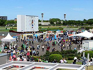 東京競馬場メガグルメフェスティバル