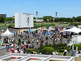 東京競馬場メガグルメフェスティバル