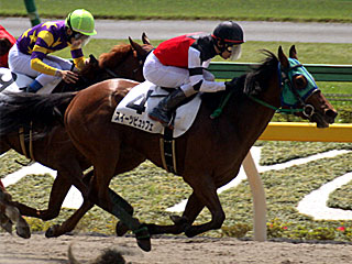 スイーツビュッフェ(3歳未勝利)