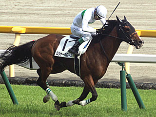 ロジャーバローズ(日本ダービー)