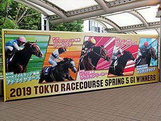 東京競馬場G1優勝馬