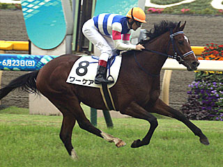 ワーケア(2歳新馬)