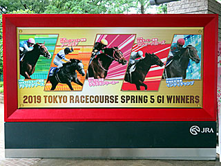 東京競馬場G1優勝馬