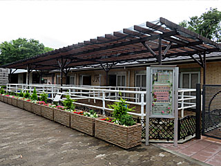 乗馬の展示コーナー