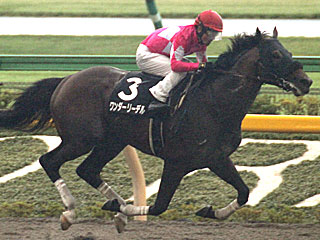 ワンダーリーデル(アハルテケステークス)