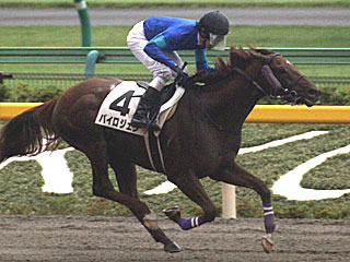 パイロジェン(3歳以上1勝クラス)