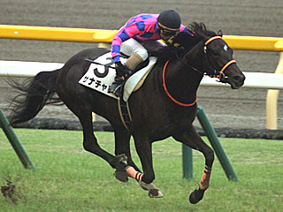 サナチャン(2歳新馬)