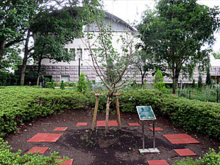 エプソムダウンズ競馬場令和記念植樹