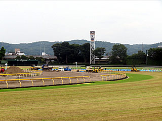 東京競馬場