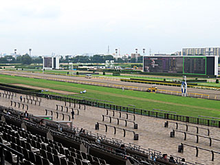 東京競馬場