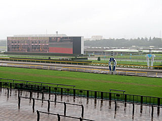 東京競馬場