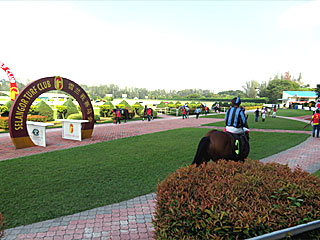 パドック | スンガイベシ競馬場 | クアラルンプール