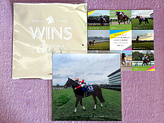 ウインズデーオリジナルサマーグッズ