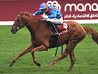 ホールドザシグリーン Holdthasigreen(カドラン賞)