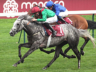 テクニシャン Technician(ショードネイ賞)