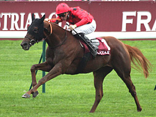 ザレヴェナント The Revenant(ダニエルウィルデンシュタイン賞)