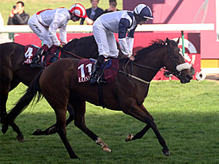 グラススリッパーズ Glass Slippers(アベイユドロンシャン賞)