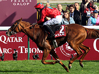 ヴァルトガイスト Waldgeist(凱旋門賞)