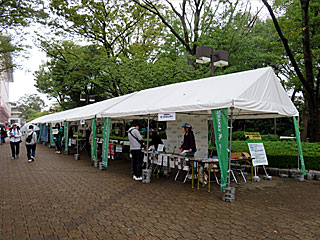 サンクスホースデイズ in 東京競馬場