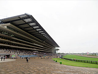 東京競馬場