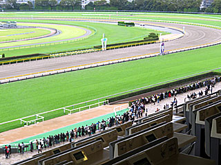 B指定席＠東京競馬場