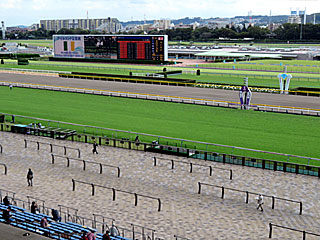 C指定席＠東京競馬場