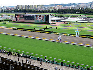 C指定席＠東京競馬場