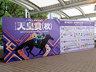 天皇賞秋