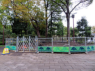 日本庭園工事