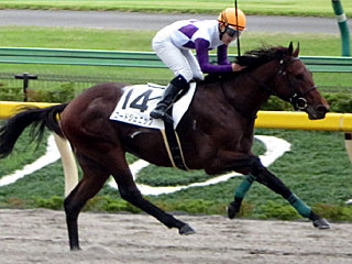 コードジェニック(2歳新馬)