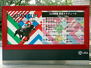 ジャパンカップ