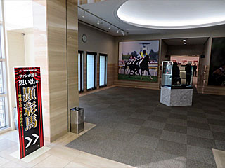 JRA競馬博物館 | ファンが選ぶ想い出の顕彰馬～時代を彩った名馬たち～