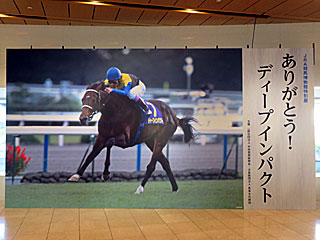 JRA競馬博物館 | ありがとう！ディープインパクト展