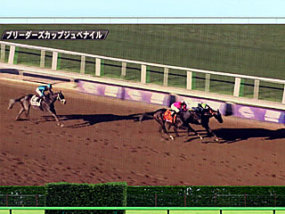 ブリーダーズカップジュベナイル