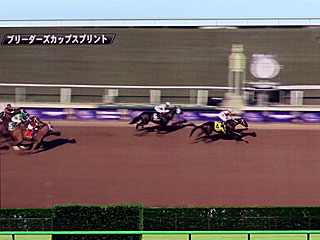 ブリーダーズカップスプリント