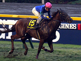 ドーヴァー(キャピタルステークス)