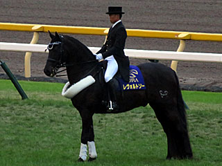 レヴォルトソー