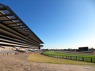 東京競馬場