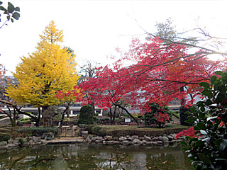 日本庭園＠東京競馬場の紅葉