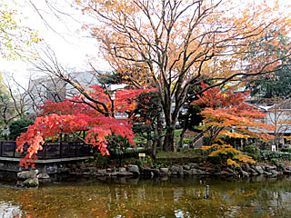 日本庭園＠東京競馬場の紅葉