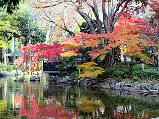 日本庭園＠東京競馬場の紅葉