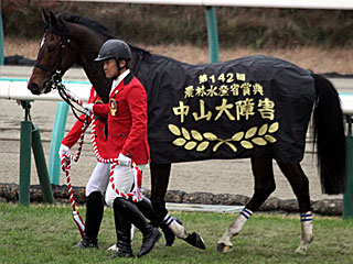 シングンマイケル（中山大障害）