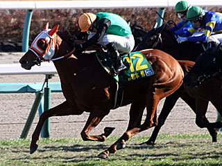 クリノオスマン(ヤングジョッキーズシリーズファイナルラウンド中山第1戦)