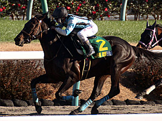 リョウランヒーロー(ヤングジョッキーズシリーズファイナルラウンド中山第2戦)