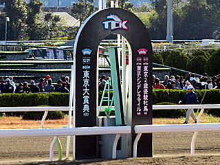 大井競馬場（2019年東京大賞典）