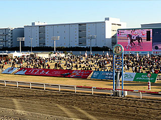 川崎競馬場ゴール板