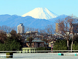富士山＠東京競馬場